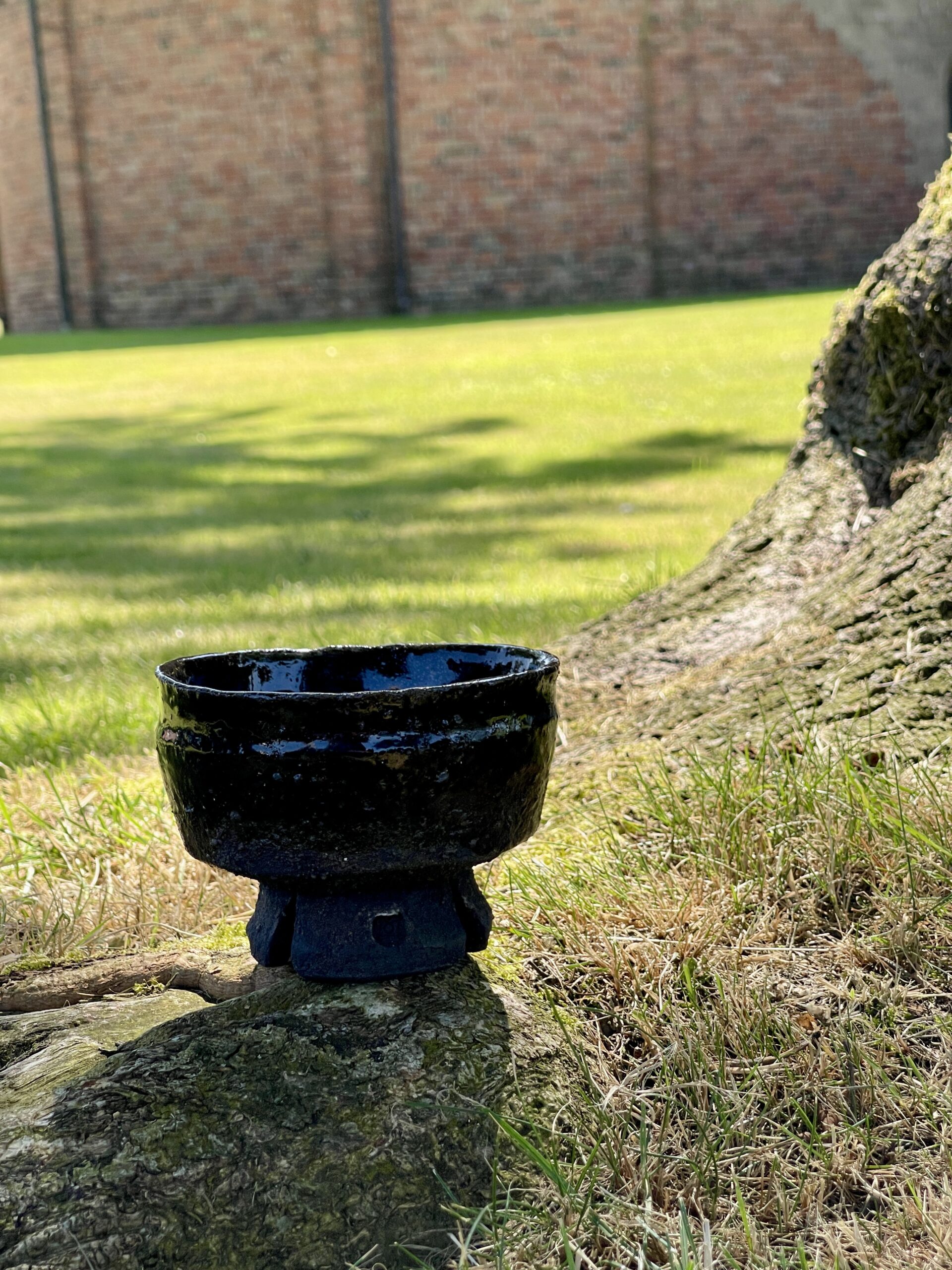 Chawan Ceremony Split Two - Afbeelding 1