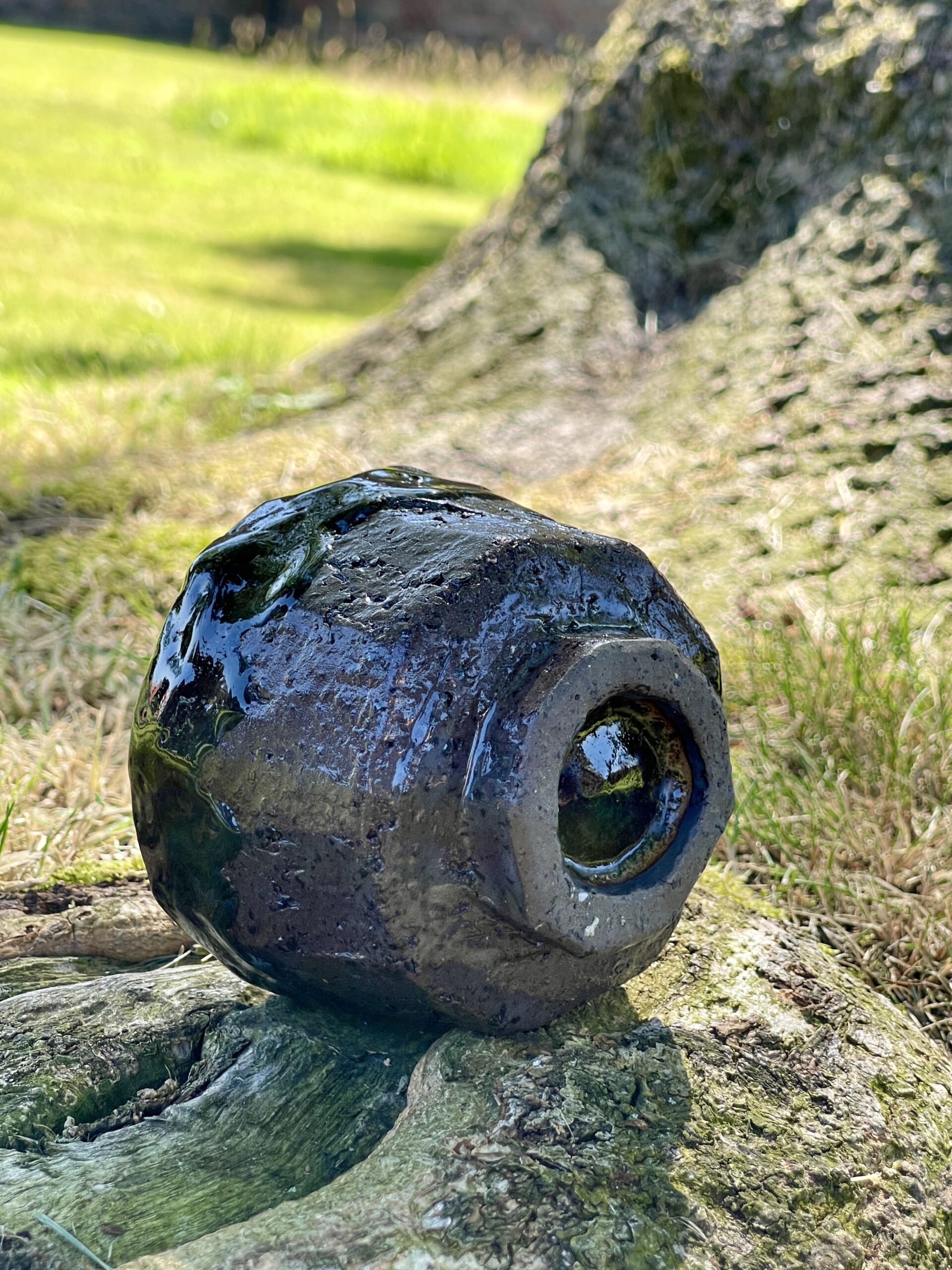Theekom Earth Four - Afbeelding 3